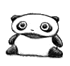 *Petit panda*